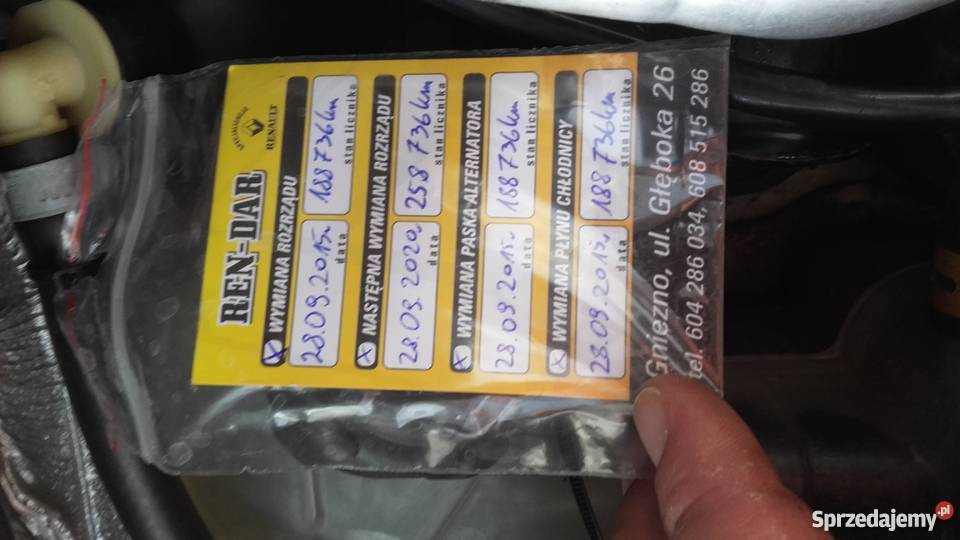 renault scenic Gniezno