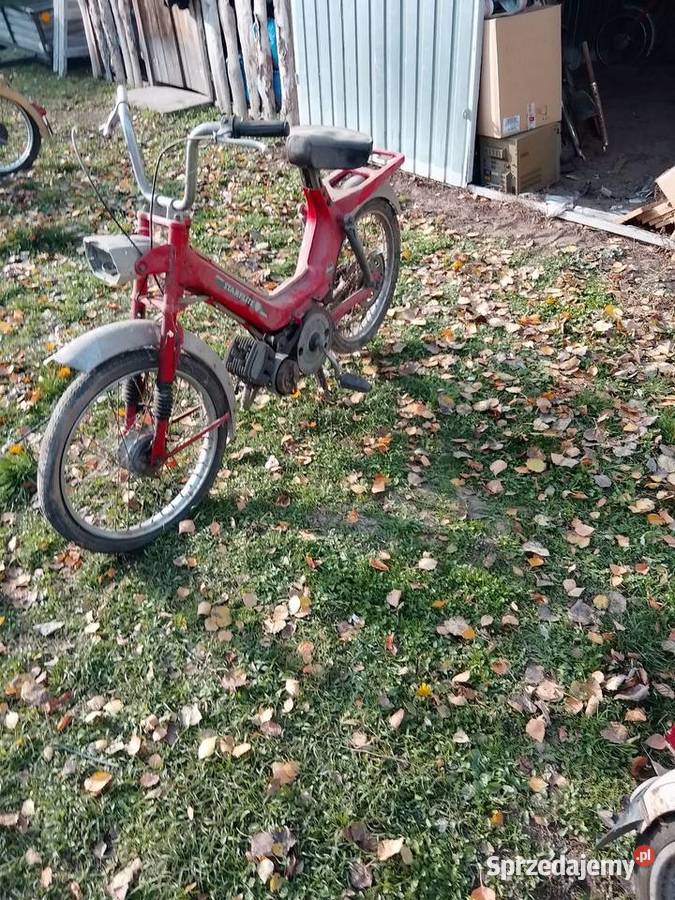 Starflite 50 mazowieckie Garbatka-Letnisko