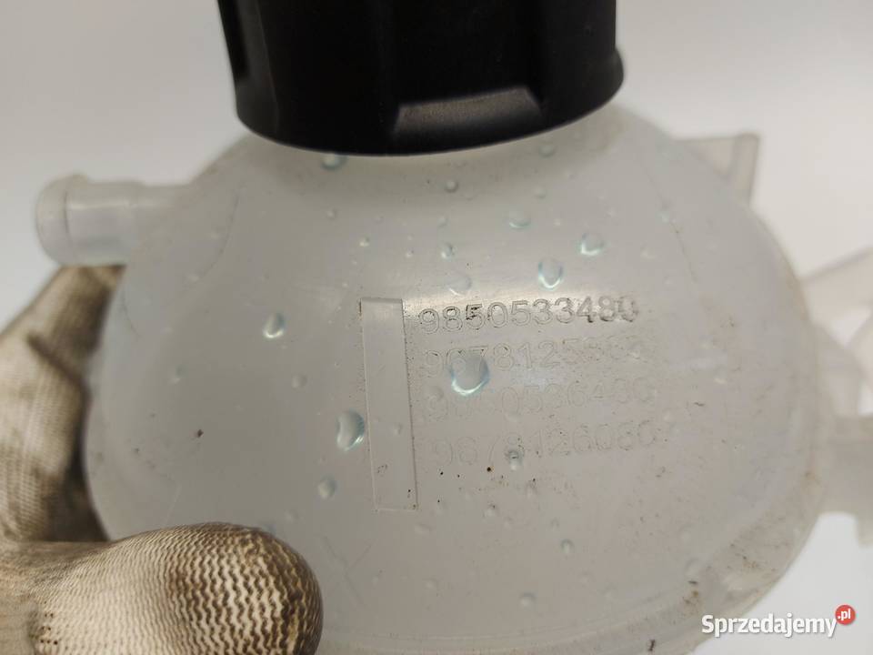 OPEL Grandland II Zbiorniczek wyrównawczy płynu sprzedam