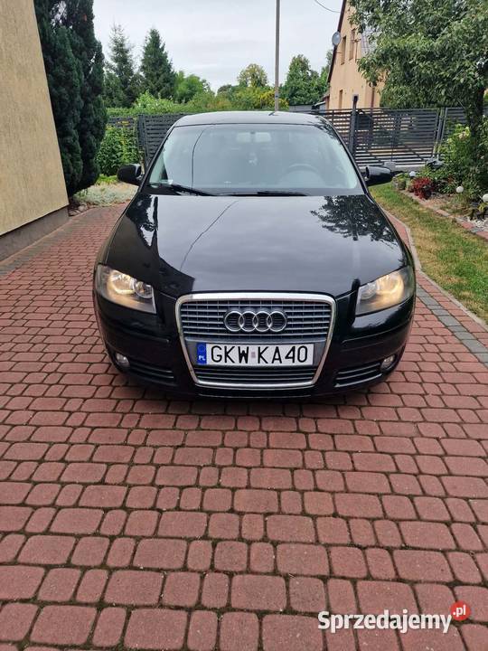 Audi a3 8p 20tdi Prabuty