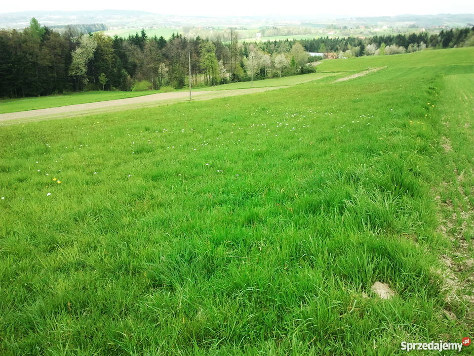 Działka budowlana 100a na sprzedaż Bełdno