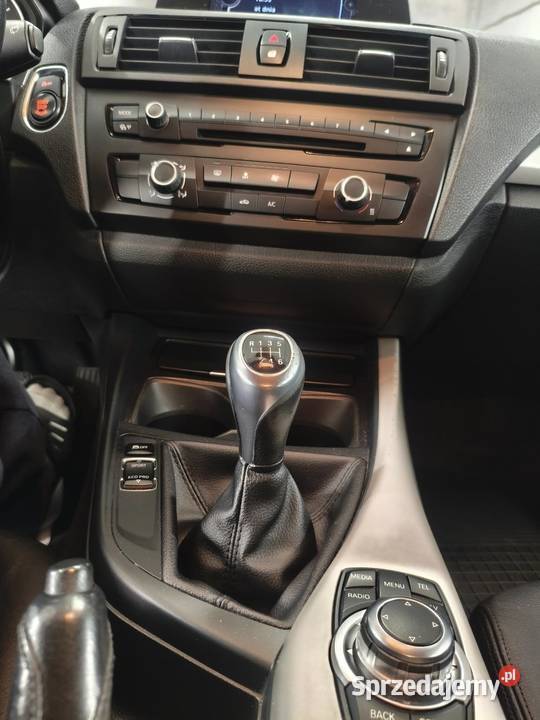 BMW F20 116d Efficient Dynamics Edition 116 Piła