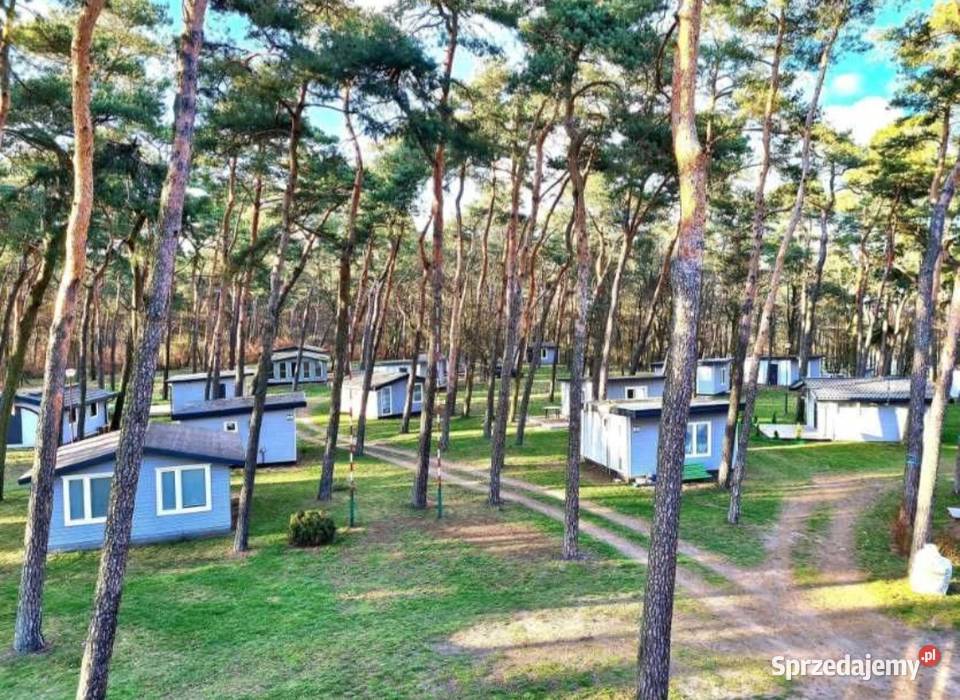 Do wynajęcia domek letniskowy Mstowo