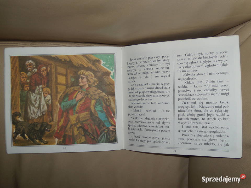 Kwiat paproci Józef Ignacy Kraszewski mazowieckie Warszawa