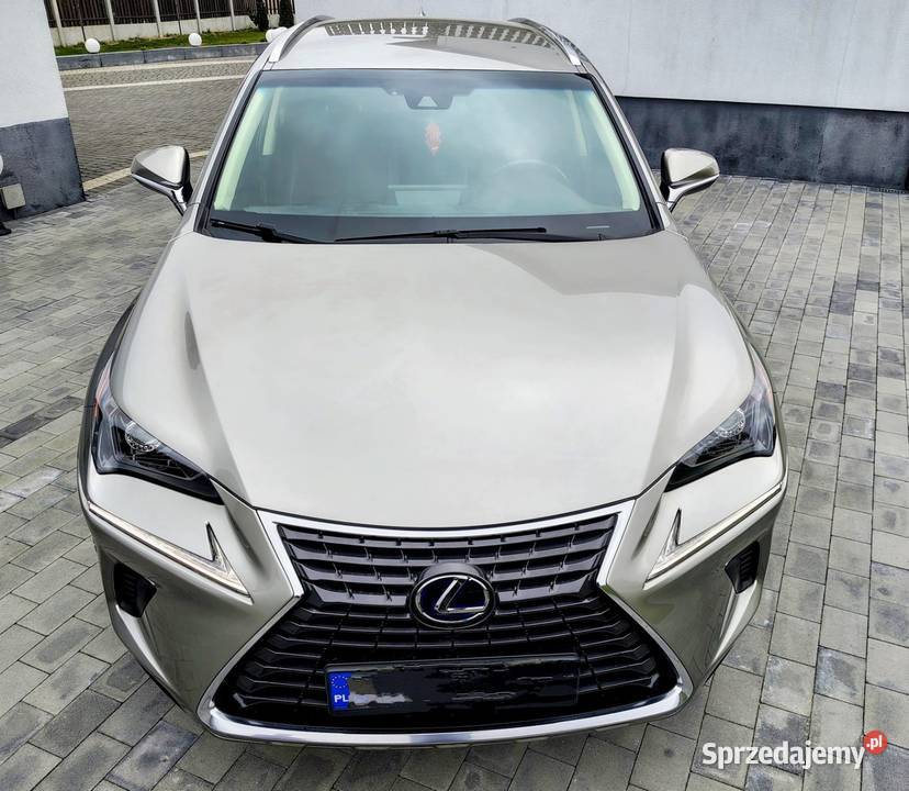 Lexus NX300h super stan mały przebieg SUV Wolbrom