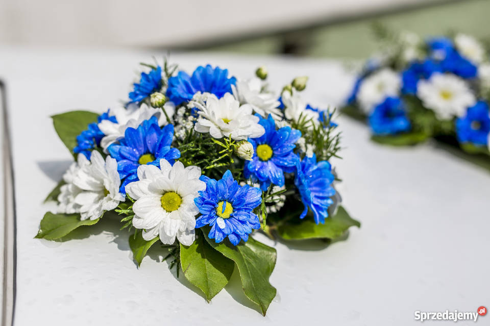 Dekoracje usługi florystyczne ZAPRASZAMY