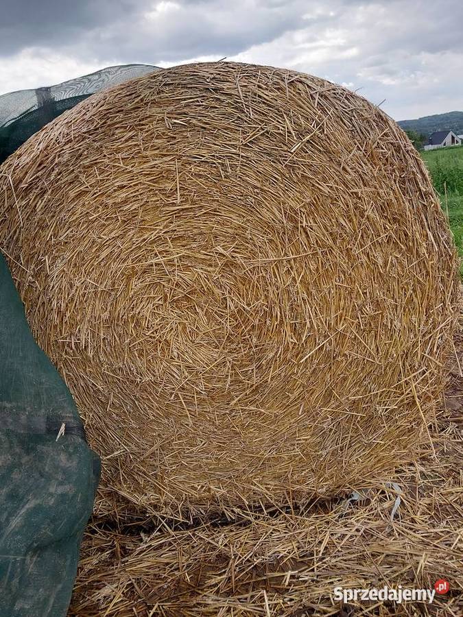 Sprzedam słomę siano kieszonka Sierakowice