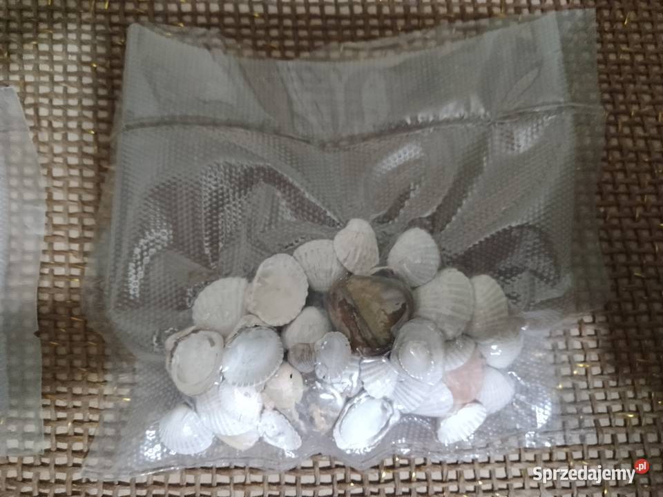 Muszelki naturalnekamienie z morza 35letnie lubelskie