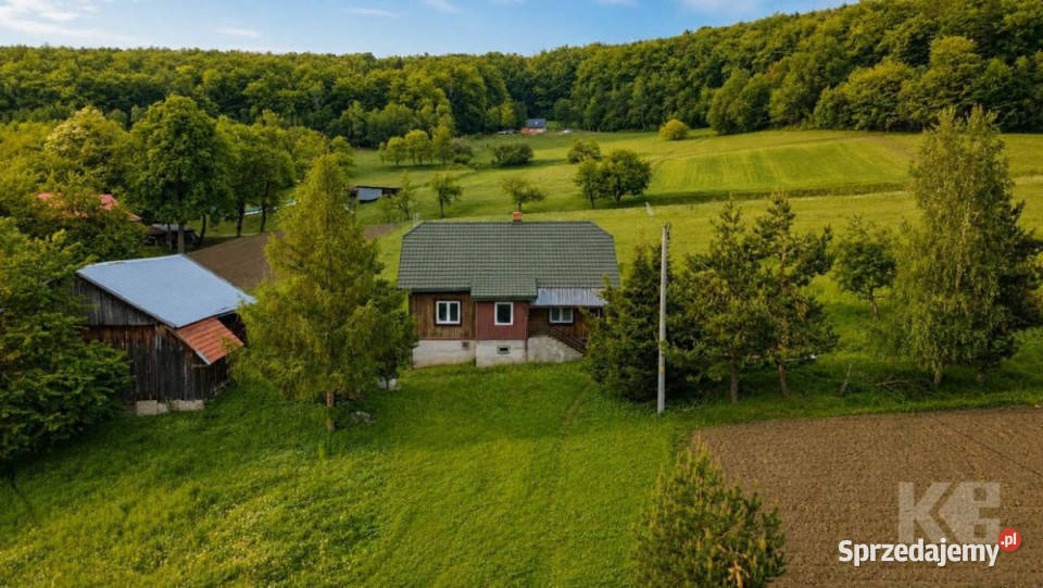 Dom wolnostojący Raczkowa 110m2 podkarpackie sprzedam
