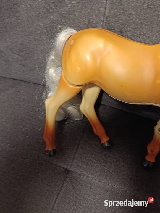 interaktywny koń Poznań