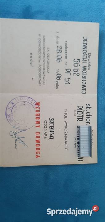 Hełm Niemiecki odznaki Kolekcje Strzałkowo