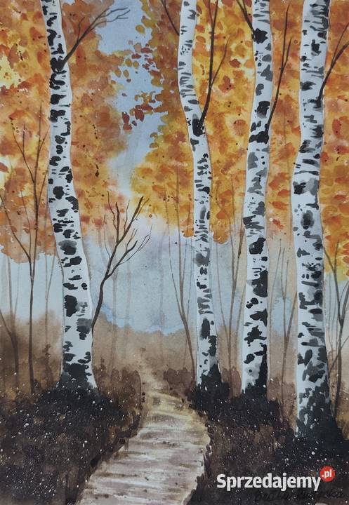 Akwarela Akwarelka Obraz pt Brzozy 073