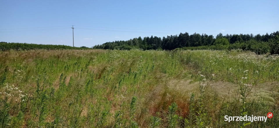 działka 51 ar z MPZP front 40m ulica Wiśniowa 5112m2 Urzędów