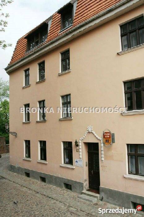 lokal Toruń Stare Miasto Toruń