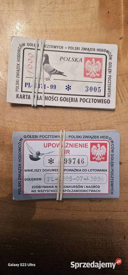 Karty własności Gołębi pocztowych Gorzów Wielkopolski