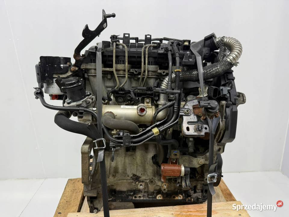 SILNIK KOMPLETNY G8DD Ford Focus II MK2 C C 16 Chełm sprzedam