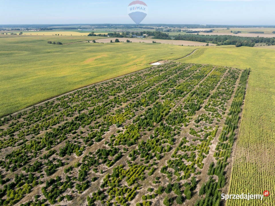 Inwestycyjna rolna działka Łubowice obok wielkopolskie