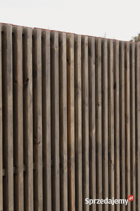 Panel ogrodzeniowy lamelowy pionowy przęsło Kalety