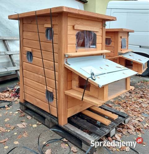 domk kotów Skierniewice