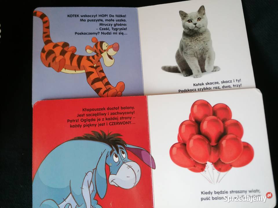 Kubuś Puchatek i Przyjaciele książeczki Disney łódzkie Łódź