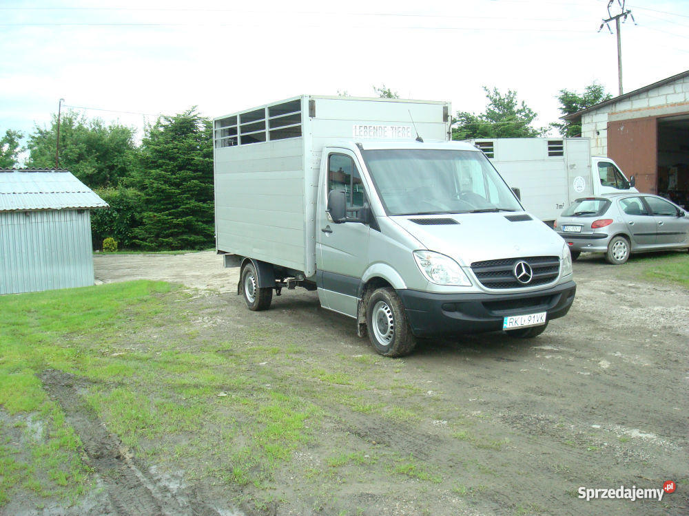 MERCEDS 315 CDI DO PRZEWOZU ZWIERZĄT VIEHTRANSPO Kolbuszowa