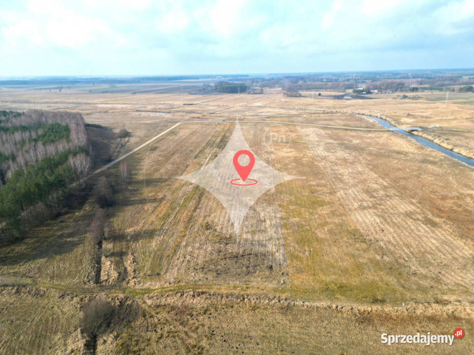 Łąka Horbów Kolonia gm Zalesie pow bialski