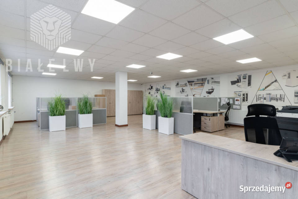 Lokal Kobyłka Kwiatowa 55191m2 Sprzedaż