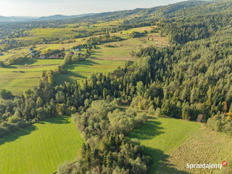 Kompleks działek w miejscowości Skomielna Biała 16059m2