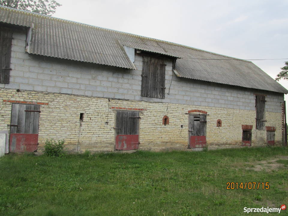 Dom budynki gospodarczo inwentarskie Augustynów