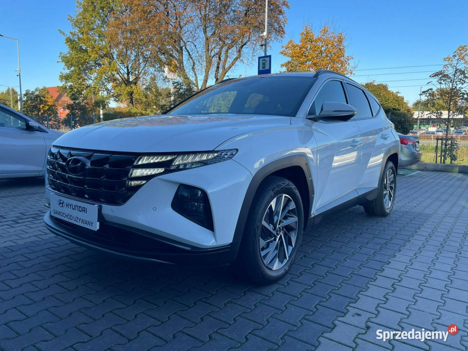 Hyundai Tucson 16TGDI 150 2WD 6MT Executiveel czujnik parkowania Piotrków Trybunalski