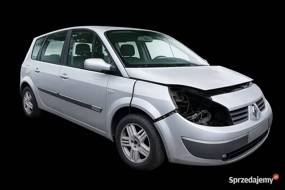 Karoseria Renault Scenic opolskie Opole sprzedam
