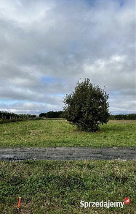 Bezpośrednio działka 3000 m z WZ DK50 Całowanie