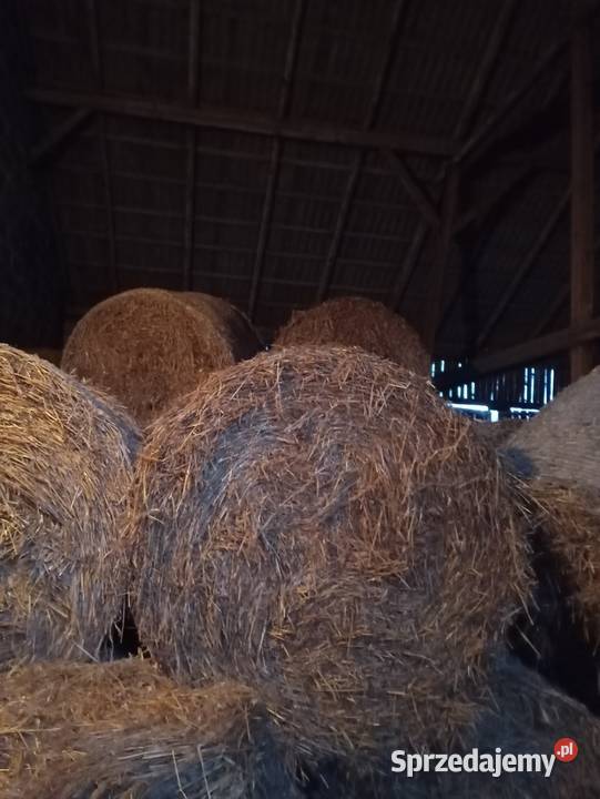 Sprzedam słomę pomorskie Skrzydłowo