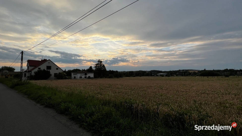 Działka z lasem w pobliżu Beskidy 1231m2 śląskie Goleszów