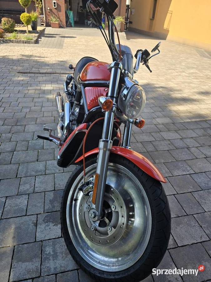 Harley Davidson Vrod 1130 Brzesko