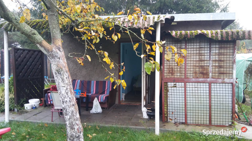 Działka ROD Złgotowska II z altaną Poznań