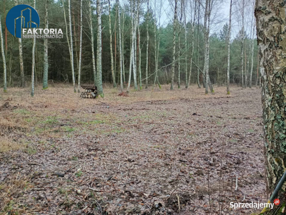 Działka Tarnopol Mostki 960m2 telefon Bołtryki