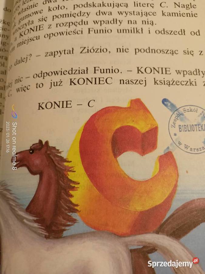 Tortowy hipopotam książki prezenty Warszawa