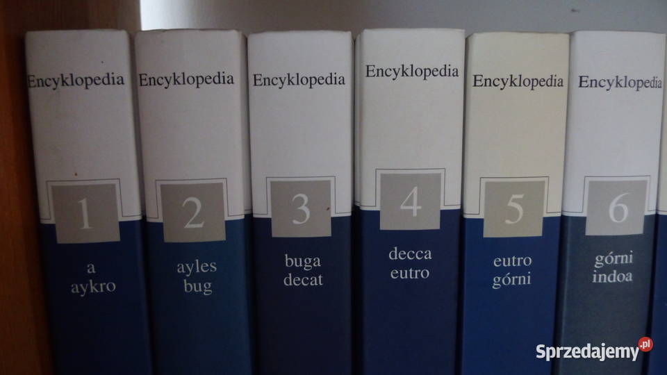 Encyklopedia PWN Pełne wydanie Tom 10 Antykwariat