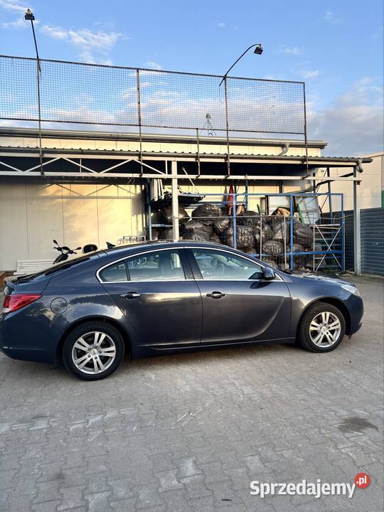 Opel insignia bluetooth lubuskie Sulęcin