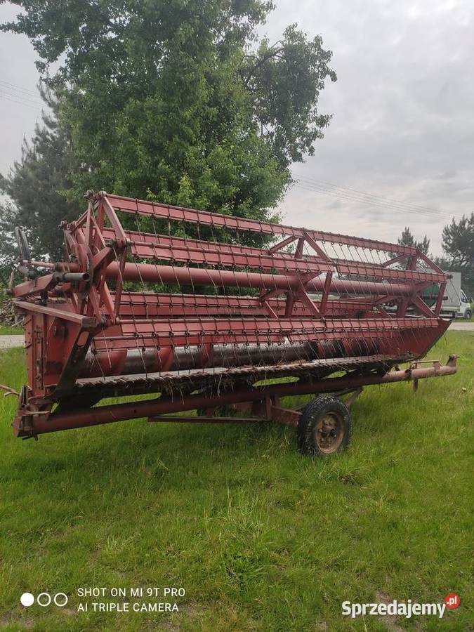 Bizon super z056 Bizon Romaszki