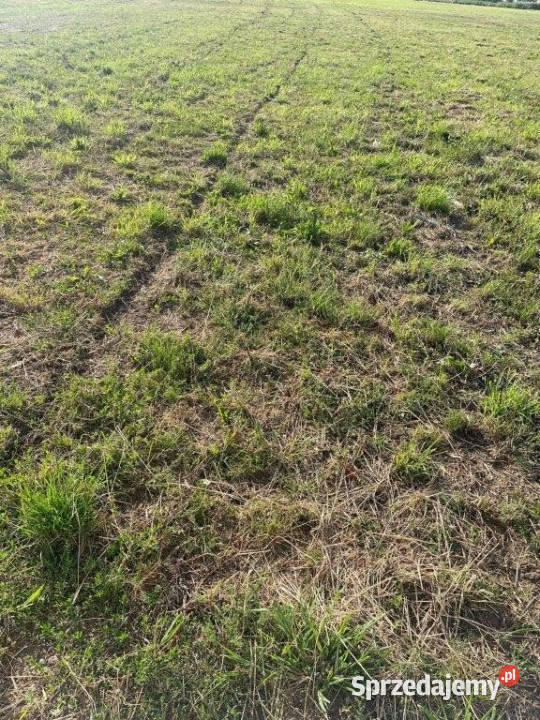 Grunt 3000m2 Kopań