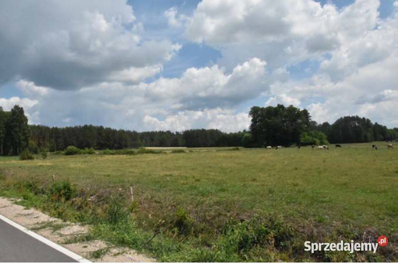 Syndyk sprzeda Tartak nieruchomość gruntowa 066