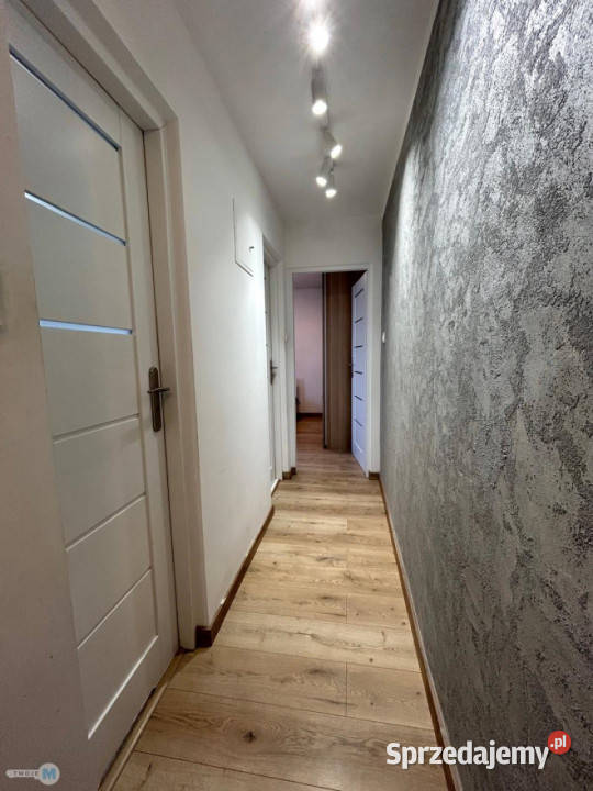 Wynajem mieszkania 602m2 3pok Kielce spółdzielcze własnościowe