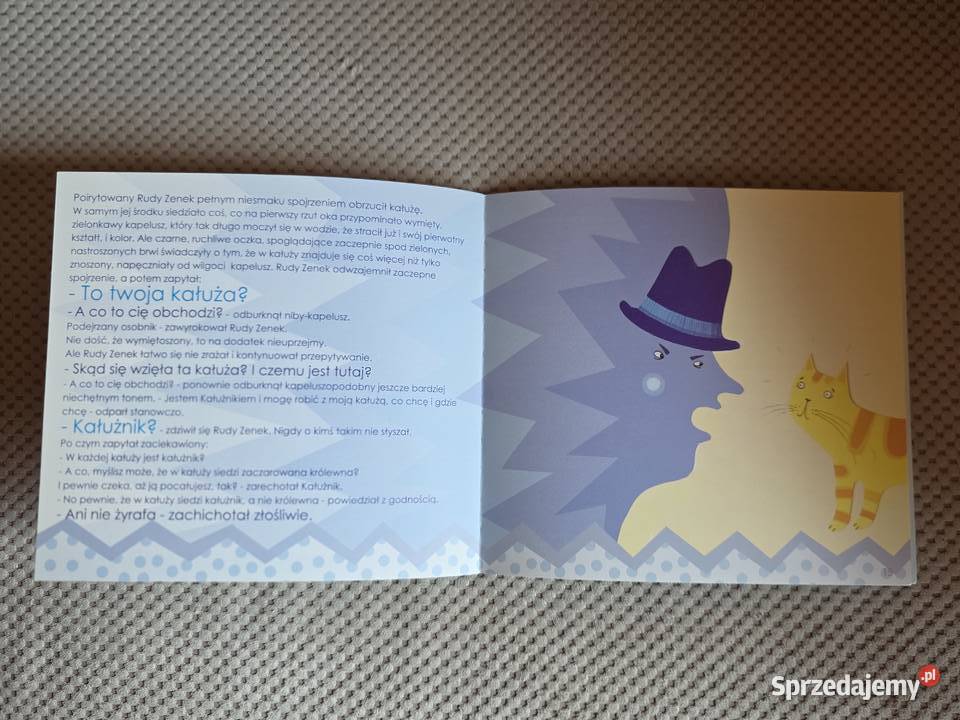 Zwariowana kałuża Danuta Parlak ISBN 9788360787182 Kraków