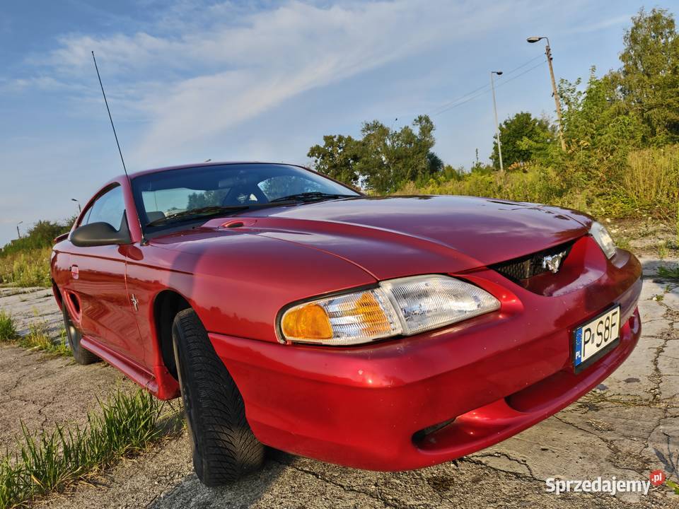 Ford Mustang sn95 38 V6 Manual 3800cm3 Września