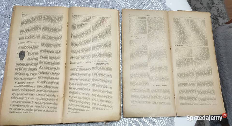 Budowa ciała ludzkiego 1901r budowa ciała Rok wydania 1901 śląskie sprzedam