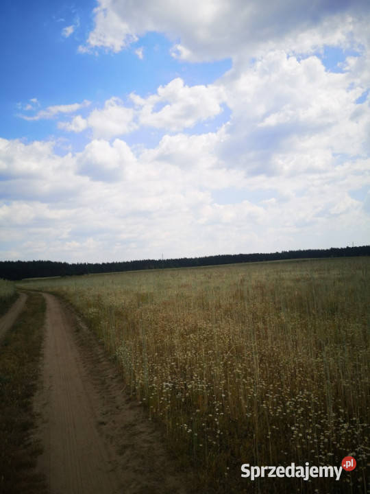 Sprzedam bezpośrednio działkę 4400m2 Nowe Chrostkowo Nowe