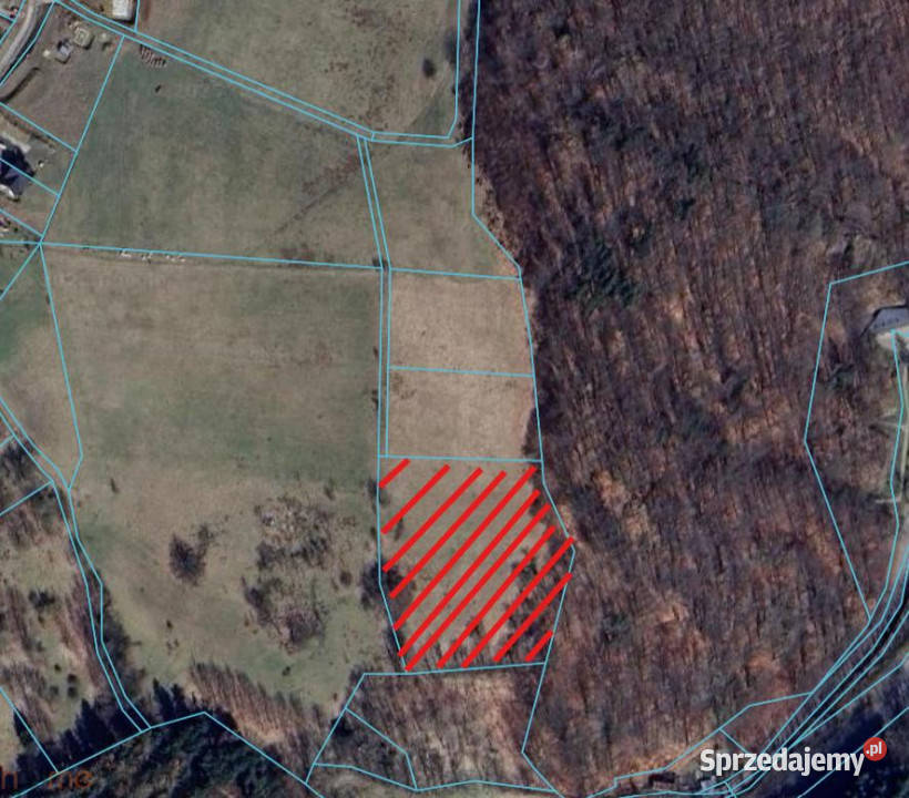 sprzedaży działki 9600m2 Walim Adama