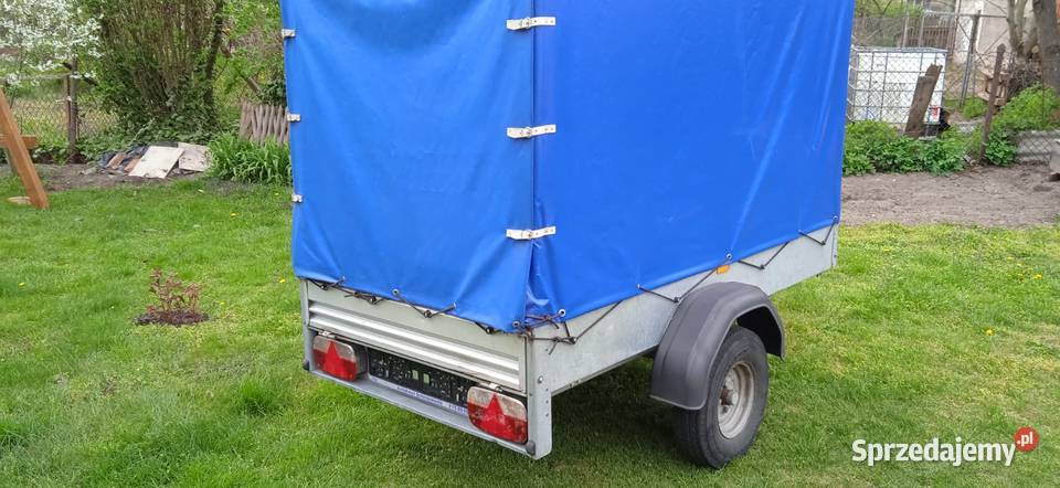 Przyczepka samochodowa Marki Stema 750 DMC wielkopolskie Rogoźno